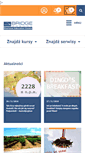 Mobile Screenshot of bridgeagency.pl
